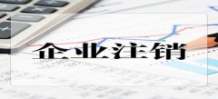 廣州公司注銷登記提交原材料標(biāo)準(zhǔn)是怎樣的？